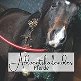 Adventskalender Pferde: Täglich neue unglaubliche Fakten für die Adventszeit - Das Vor-Weihnachtsbuch für Pferdeliebhaber
