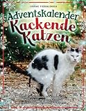 Adventskalender Kackende Katzen 2022: Lustiger Adventskalender für Katzenliebhaber. 24 Türchen mit amüsanten Katzenfotos. Ideal für Liebhaber des gewohnten Stuhlganges!