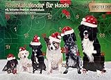 Alfavet Adventskalender 2021 für Hunde, 24 natürliche Snacks, Weihnachtskalender getreidefrei ohne Zusatzstoffe