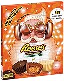 Reeses Adventskalender 2021 | Reese Pieces peanut butter Erdnussbutter-Miniaturen, Advent aus weißer Schokolade, dunkler Schokolade und Milchschokolade, 248 g