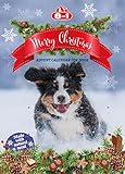 8in1 Hunde-Adventskalender 2022 - Adventskalender mit 24 Leckerlis und Snacks für Hunde